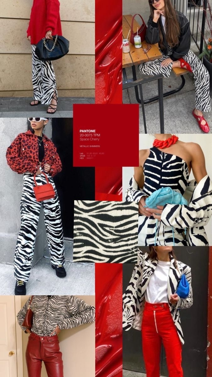 Принт «Зебра»: новый фаворит сезона